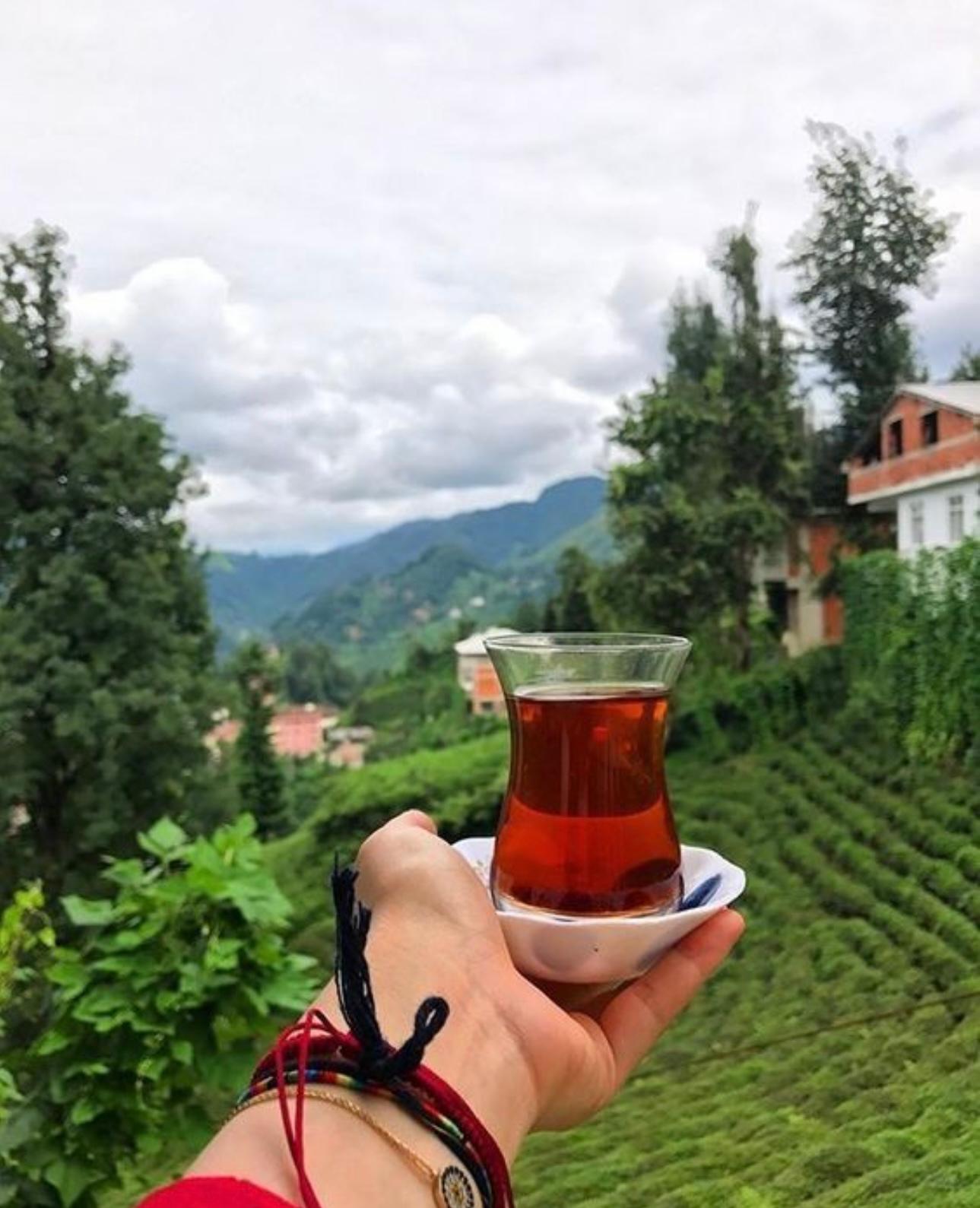 Karadeniz Yaylalar Ve Batum Turu (4 Gece Otel Konaklamalı)