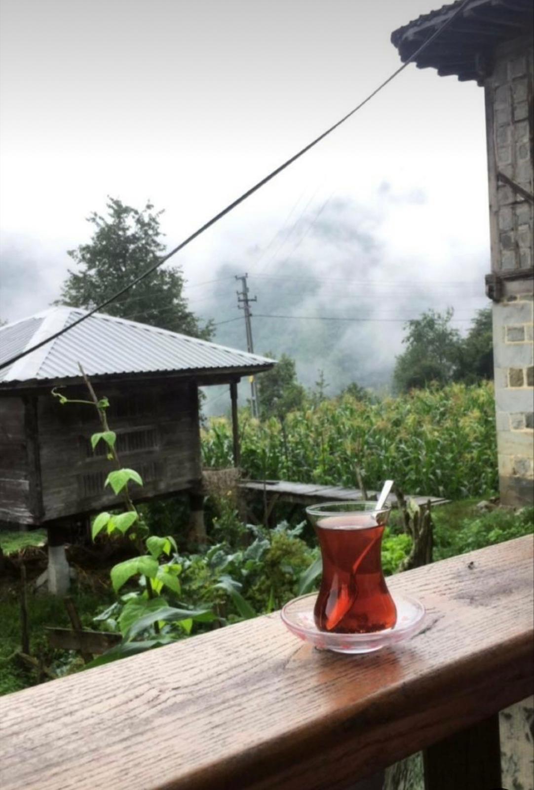 Karadeniz Yaylalar Ve Batum Turu (4 Gece Otel Konaklamalı)